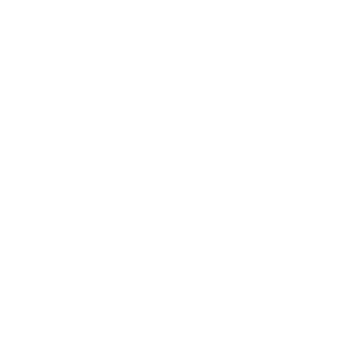 The Superfood Company